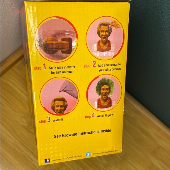 Richard Simmons Chia Pet Handmade Planter - Picture 2 of 5